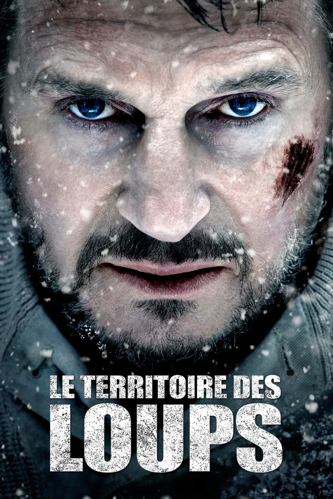Le Territoire des loups (2012)